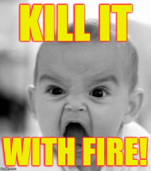 Angry Baby Meme | KILL IT WITH FIRE! | image tagged in memes,angry baby | made w/ Imgflip meme maker