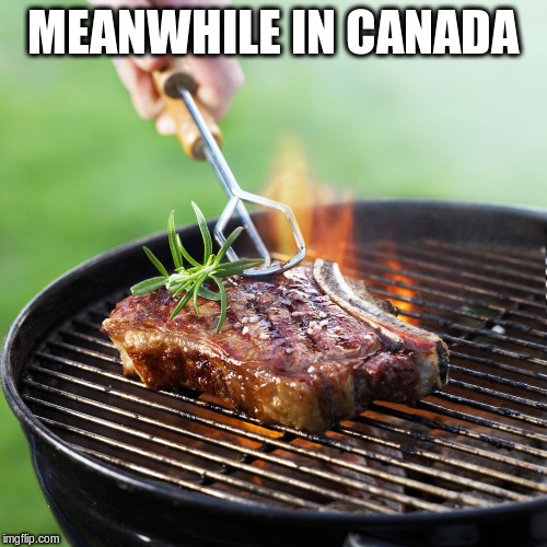 Grilled | MEANWHILE IN CANADA | image tagged in grilled | made w/ Imgflip meme maker