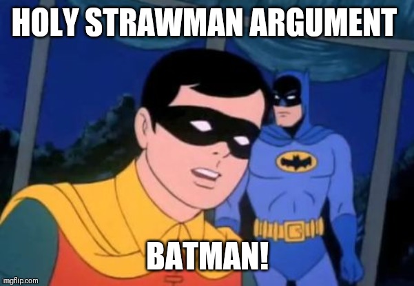 Holy _______, Batman! | HOLY STRAWMAN ARGUMENT; BATMAN! | image tagged in holy _______ batman | made w/ Imgflip meme maker