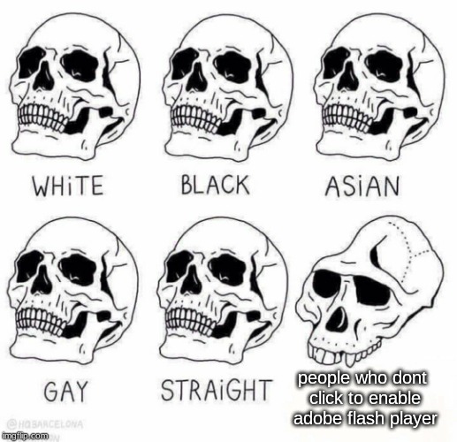 retarded caveman skulls | people who dont click to enable adobe flash player | image tagged in retarded caveman skulls | made w/ Imgflip meme maker