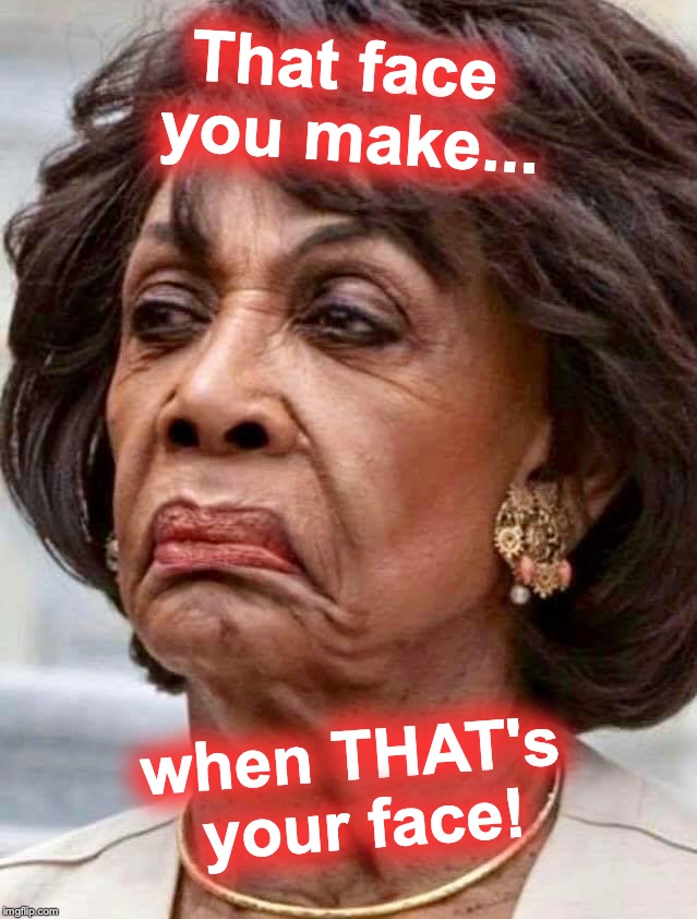 I probably shouldn't have...[WARNING: 'If-looks-could-impeach' satire] | That face you make... when THAT's your face! | image tagged in maxine waters | made w/ Imgflip meme maker