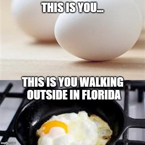 Any questions? | THIS IS YOU... THIS IS YOU WALKING OUTSIDE IN FLORIDA | image tagged in florida,heat | made w/ Imgflip meme maker