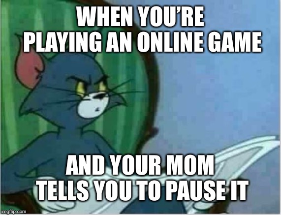 You can’t mom... | WHEN YOU’RE PLAYING AN ONLINE GAME; AND YOUR MOM TELLS YOU TO PAUSE IT | image tagged in interrupting tom's read,memes,games,mom | made w/ Imgflip meme maker