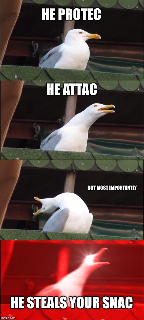 Seagull is gonna get ya | HE PROTEC; HE ATTAC; BUT MOST IMPORTANTLY; HE STEALS YOUR SNAC | image tagged in memes,inhaling seagull | made w/ Imgflip meme maker