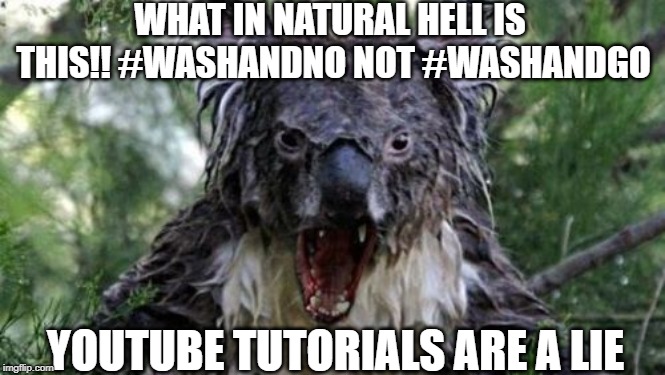 Angry Koala Meme | WHAT IN NATURAL HELL IS THIS!! #WASHANDNO NOT #WASHANDGO; YOUTUBE TUTORIALS ARE A LIE | image tagged in memes,angry koala | made w/ Imgflip meme maker