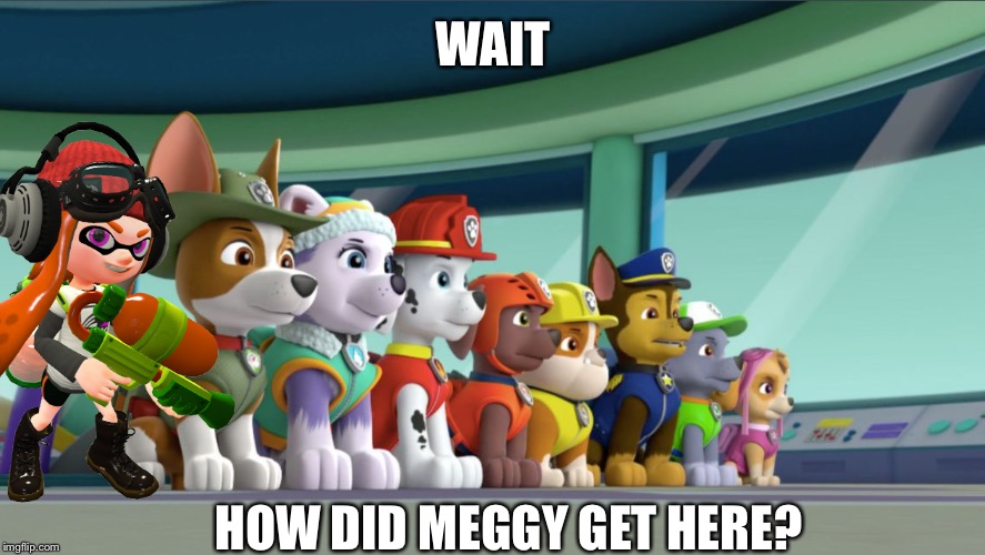 Wait WHAT!? | WAIT; HOW DID MEGGY GET HERE? | image tagged in all 8 paw patrol pups at the lookout | made w/ Imgflip meme maker