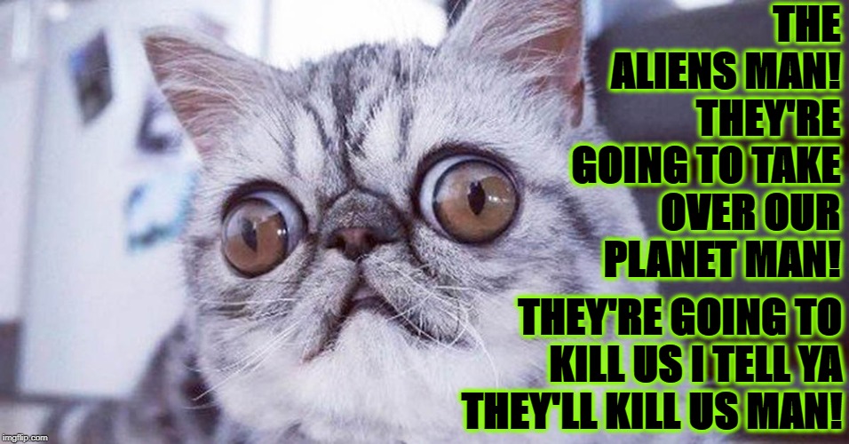 PARANOIA CAT | THE ALIENS MAN! THEY'RE GOING TO TAKE OVER OUR PLANET MAN! THEY'RE GOING TO KILL US I TELL YA THEY'LL KILL US MAN! | image tagged in paranoia cat | made w/ Imgflip meme maker