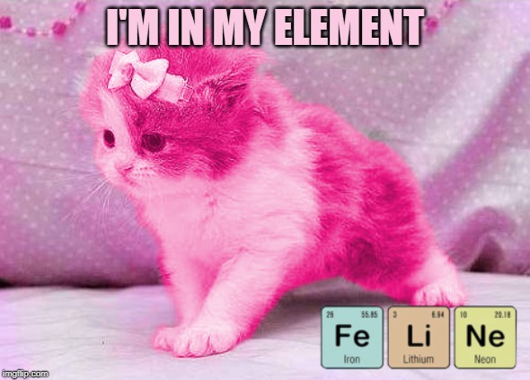 All the good jokes Argon?  I don't Zinc so... | I'M IN MY ELEMENT | image tagged in raycatjr is a feline,memes | made w/ Imgflip meme maker