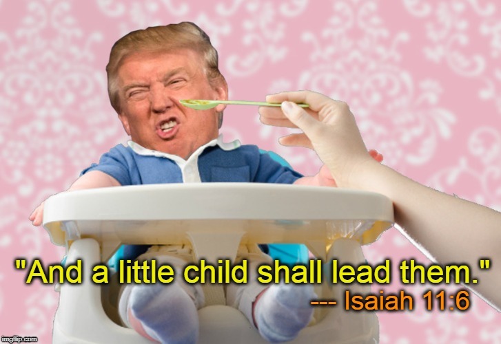 . | image tagged in trump,child | made w/ Imgflip meme maker