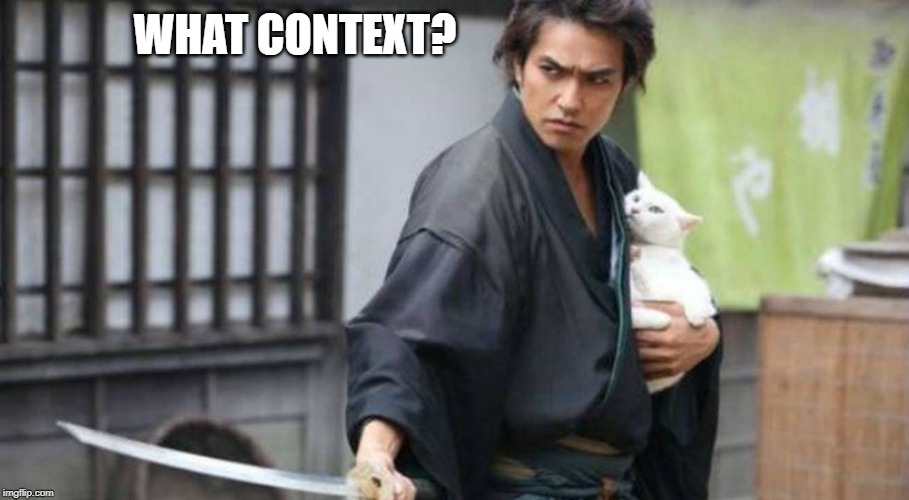 Samurai Protecting Cat | WHAT CONTEXT? | image tagged in samurai protecting cat | made w/ Imgflip meme maker