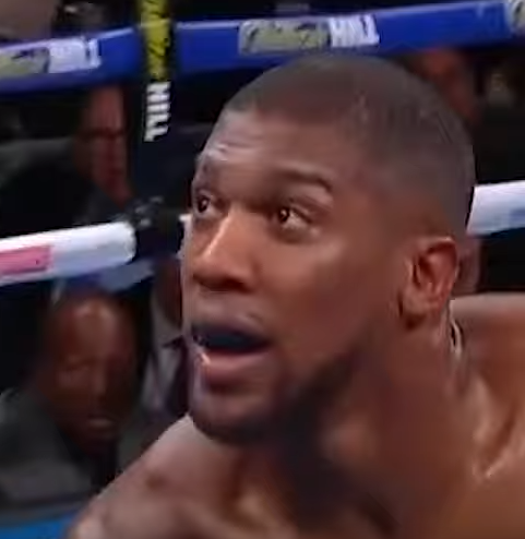 anthony joshua Blank Meme Template