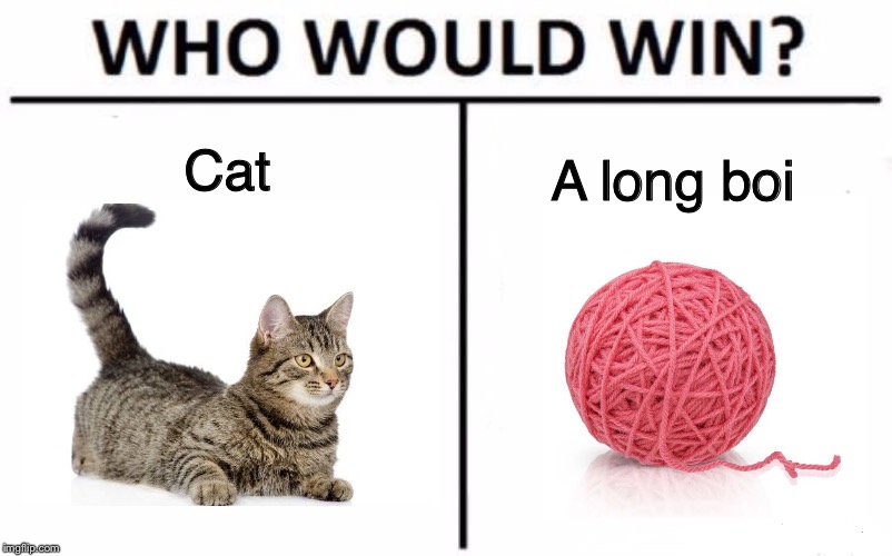 Who Would Win? | Cat; A long boi | image tagged in memes,who would win | made w/ Imgflip meme maker