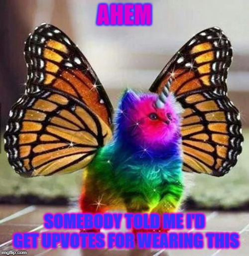 It takes a brave soul to be this fabulous | AHEM; SOMEBODY TOLD ME I'D GET UPVOTES FOR WEARING THIS | image tagged in rainbow unicorn butterfly kitten,memes,begging,upvotes,fabulous | made w/ Imgflip meme maker