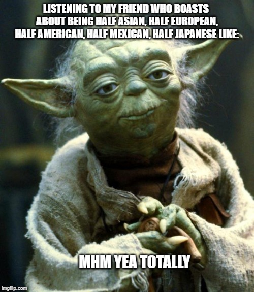 Star Wars Yoda | LISTENING TO MY FRIEND WHO BOASTS ABOUT BEING HALF ASIAN, HALF EUROPEAN, HALF AMERICAN, HALF MEXICAN, HALF JAPANESE LIKE:; MHM YEA TOTALLY | image tagged in memes,star wars yoda | made w/ Imgflip meme maker