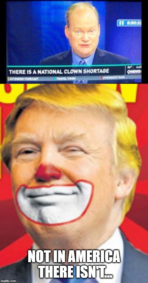 Plenty of Clowns Here | NOT IN AMERICA THERE ISN'T... | image tagged in donald trump the clown | made w/ Imgflip meme maker