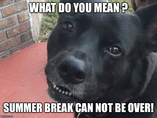 WHAT DO YOU MEAN ? SUMMER BREAK CAN NOT BE OVER! | made w/ Imgflip meme maker