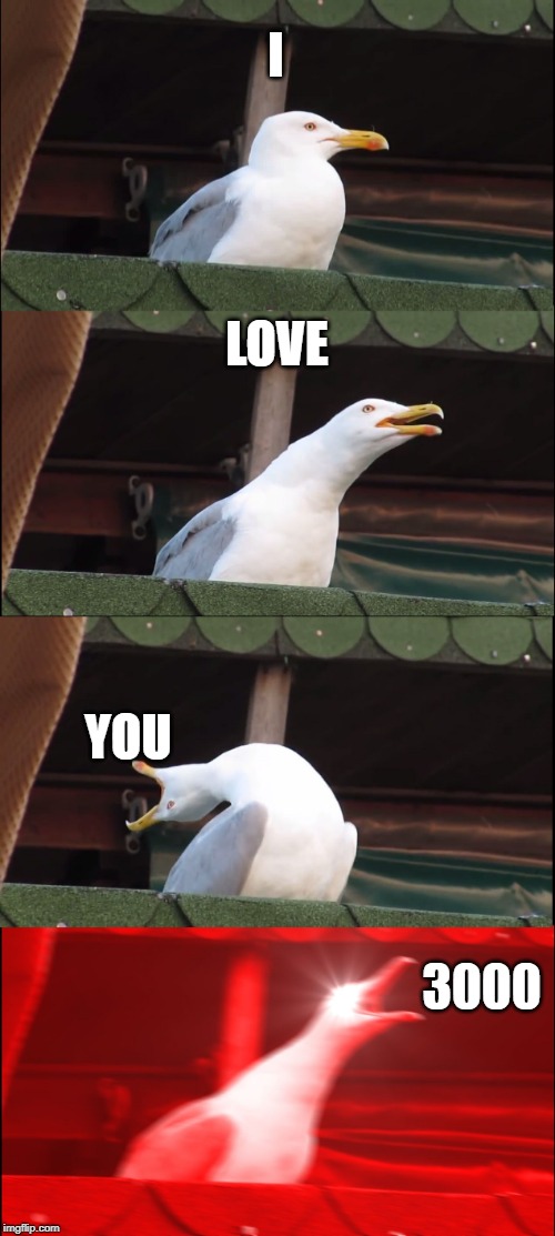 Inhaling Seagull | I; LOVE; YOU; 3000 | image tagged in memes,inhaling seagull | made w/ Imgflip meme maker