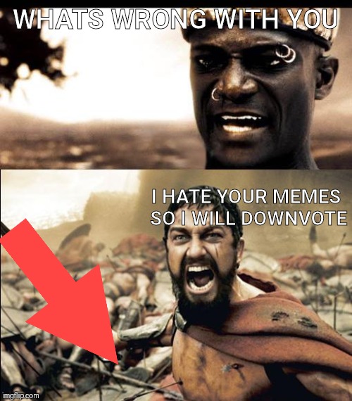When someone hates your memes | WHATS WRONG WITH YOU; I HATE YOUR MEMES SO I WILL DOWNVOTE | image tagged in this is madness / this is spartaaaaaa,memes,downvote | made w/ Imgflip meme maker