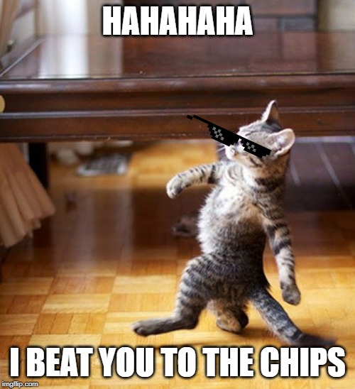 Cat Walking Like A Boss | HAHAHAHA; I BEAT YOU TO THE CHIPS | image tagged in cat walking like a boss | made w/ Imgflip meme maker