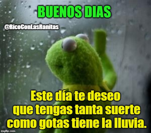 sad kermit at window | BUENOS DIAS; @RicoConLasRanitas; Este día te deseo que tengas tanta suerte como gotas tiene la lluvia. | image tagged in sad kermit at window | made w/ Imgflip meme maker