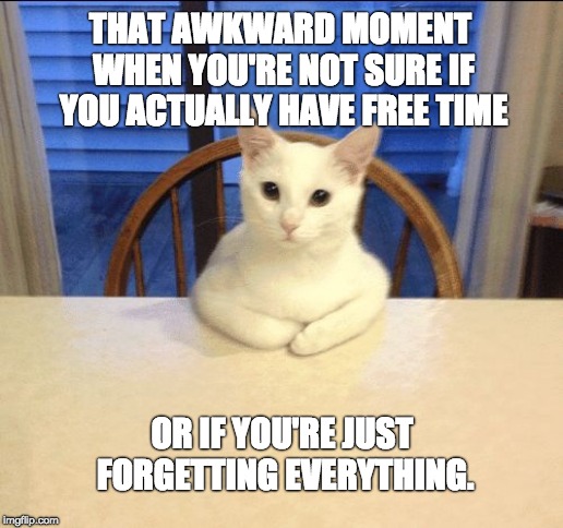 sit down human |  THAT AWKWARD MOMENT WHEN YOU'RE NOT SURE IF YOU ACTUALLY HAVE FREE TIME; OR IF YOU'RE JUST FORGETTING EVERYTHING. | image tagged in sit down human | made w/ Imgflip meme maker