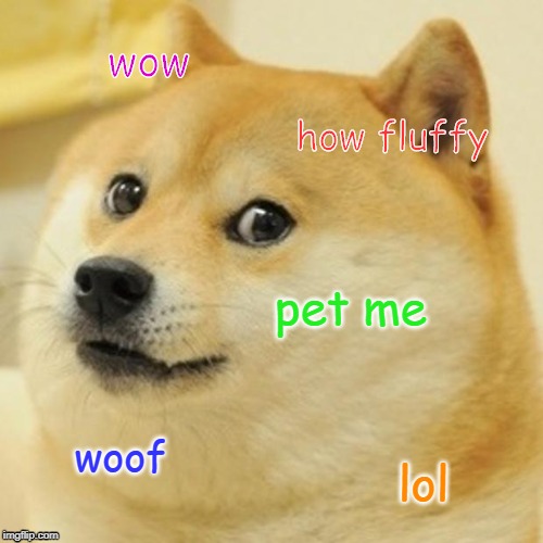 Doge | wow; how fluffy; pet me; woof; lol | image tagged in memes,doge | made w/ Imgflip meme maker