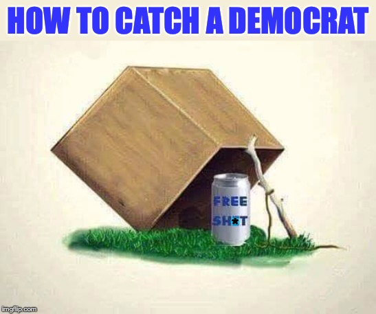 For Birdbrains | HOW TO CATCH A DEMOCRAT; * | image tagged in democrats,catch,its a trap | made w/ Imgflip meme maker