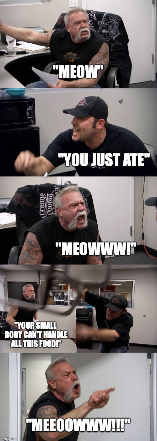 American Chopper Argument | "MEOW"; "YOU JUST ATE"; "MEOWWW!"; "YOUR SMALL BODY CAN'T HANDLE ALL THIS FOOD!"; "MEEOOWWW!!!" | image tagged in memes,american chopper argument | made w/ Imgflip meme maker