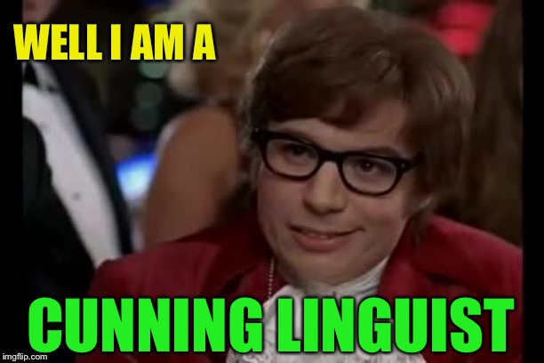 Austin Powers | WELL I AM A CUNNING LINGUIST | image tagged in austin powers | made w/ Imgflip meme maker