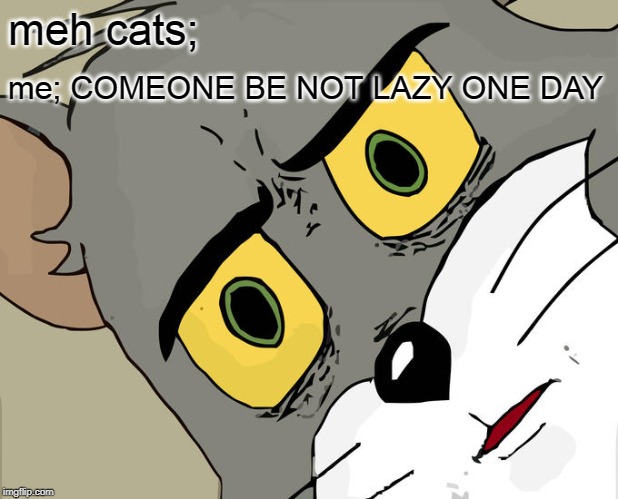 Unsettled Tom Meme | meh cats;; me; COMEONE BE NOT LAZY ONE DAY | image tagged in memes,unsettled tom | made w/ Imgflip meme maker