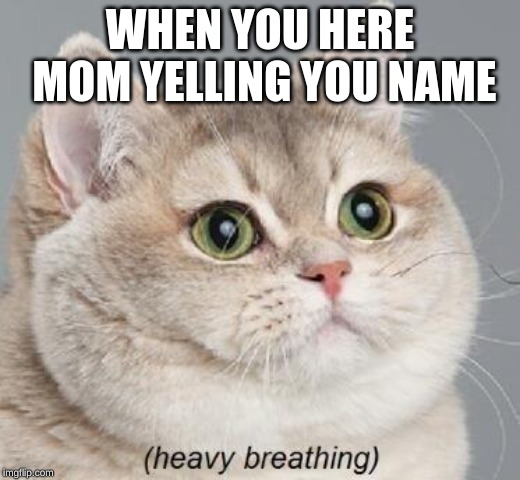 Heavy Breathing Cat | WHEN YOU HERE MOM YELLING YOU NAME | image tagged in memes,heavy breathing cat | made w/ Imgflip meme maker