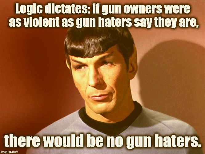 Mr. Spock | Logic dictates: if gun owners were as violent as gun haters say they are, there would be no gun haters. | image tagged in mr spock | made w/ Imgflip meme maker
