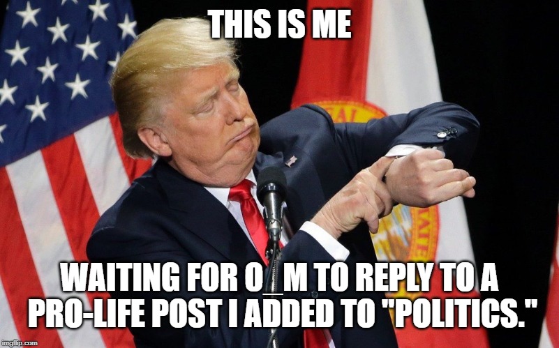 trump checks watch | THIS IS ME WAITING FOR O_M TO REPLY TO A PRO-LIFE POST I ADDED TO "POLITICS." | image tagged in trump checks watch | made w/ Imgflip meme maker
