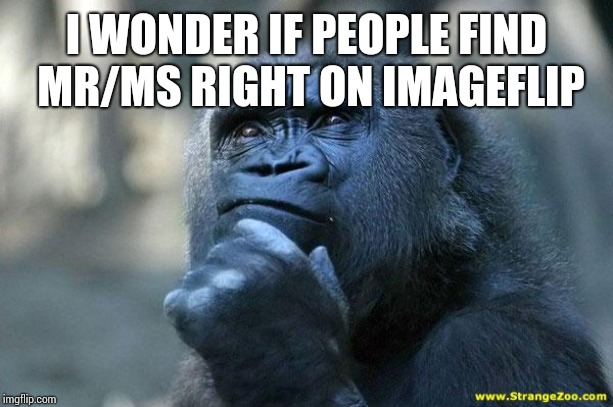 Deep Thoughts | I WONDER IF PEOPLE FIND MR/MS RIGHT ON IMAGEFLIP | image tagged in deep thoughts | made w/ Imgflip meme maker