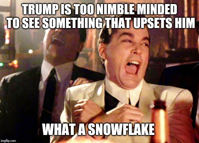 Good Fellas Hilarious | TRUMP IS TOO NIMBLE MINDED TO SEE SOMETHING THAT UPSETS HIM; WHAT A SNOWFLAKE | image tagged in memes,good fellas hilarious | made w/ Imgflip meme maker