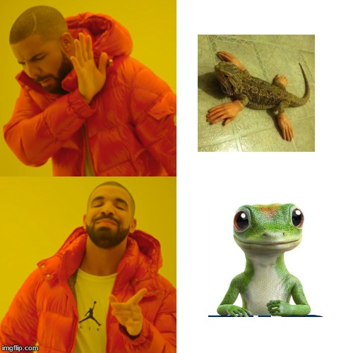 Drake Hotline Bling | image tagged in memes,drake hotline bling | made w/ Imgflip meme maker