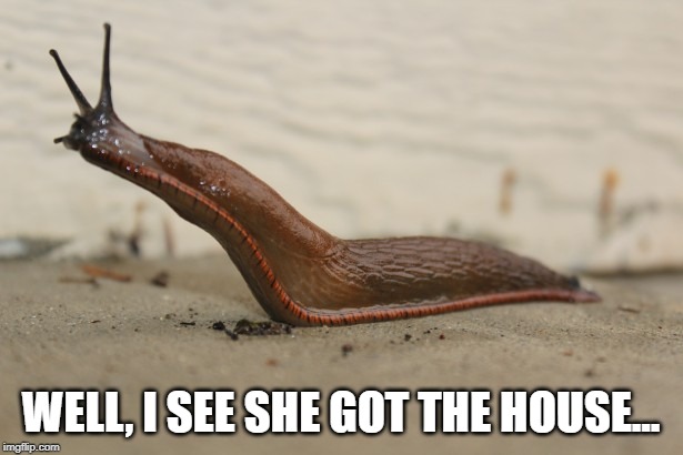 WELL, I SEE SHE GOT THE HOUSE... | image tagged in marrage,divorce humor | made w/ Imgflip meme maker