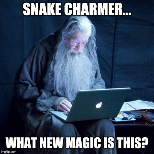 Computer Gandalf | SNAKE CHARMER... WHAT NEW MAGIC IS THIS? | image tagged in computer gandalf | made w/ Imgflip meme maker