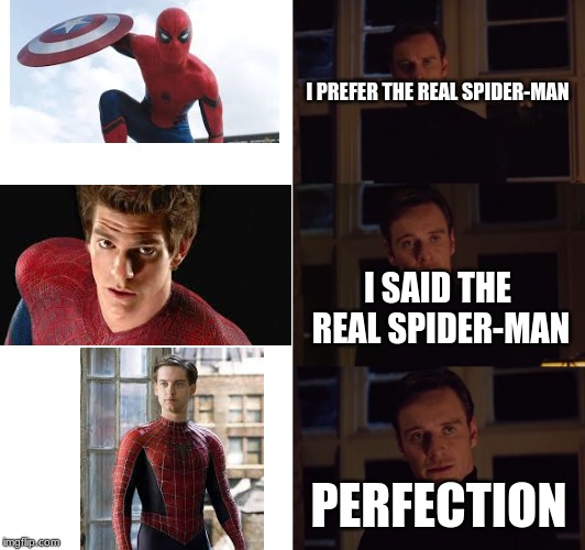 perfection | I PREFER THE REAL SPIDER-MAN; I SAID THE REAL SPIDER-MAN; PERFECTION | image tagged in perfection | made w/ Imgflip meme maker