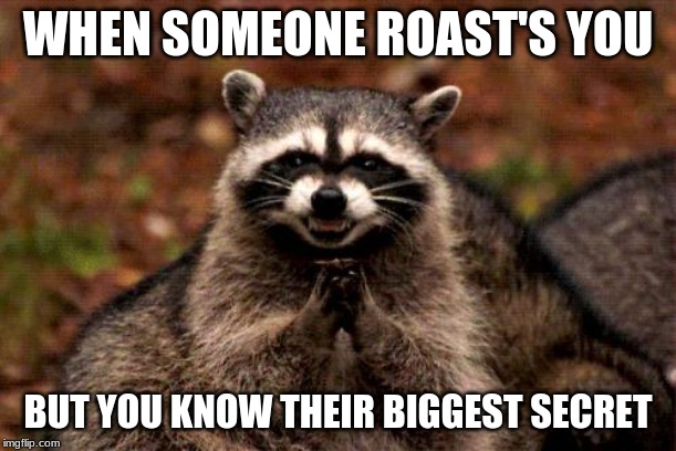 Evil Plotting Raccoon | WHEN SOMEONE ROAST'S YOU; BUT YOU KNOW THEIR BIGGEST SECRET | image tagged in memes,evil plotting raccoon | made w/ Imgflip meme maker
