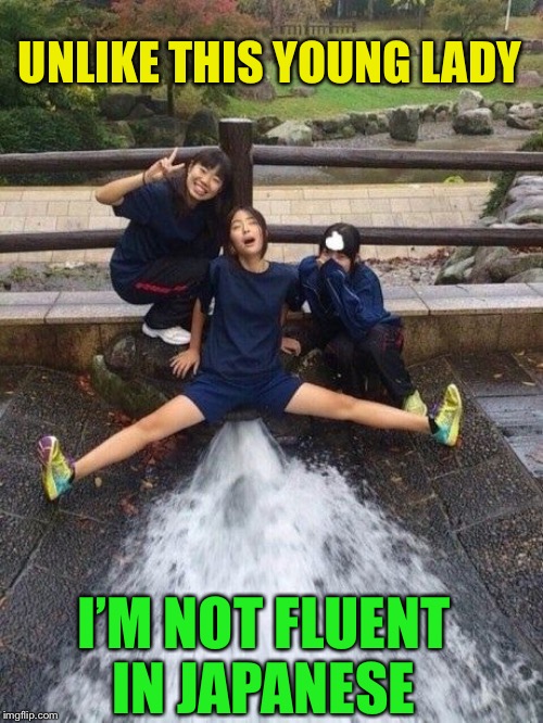 wet asian | UNLIKE THIS YOUNG LADY I’M NOT FLUENT IN JAPANESE | image tagged in wet asian | made w/ Imgflip meme maker