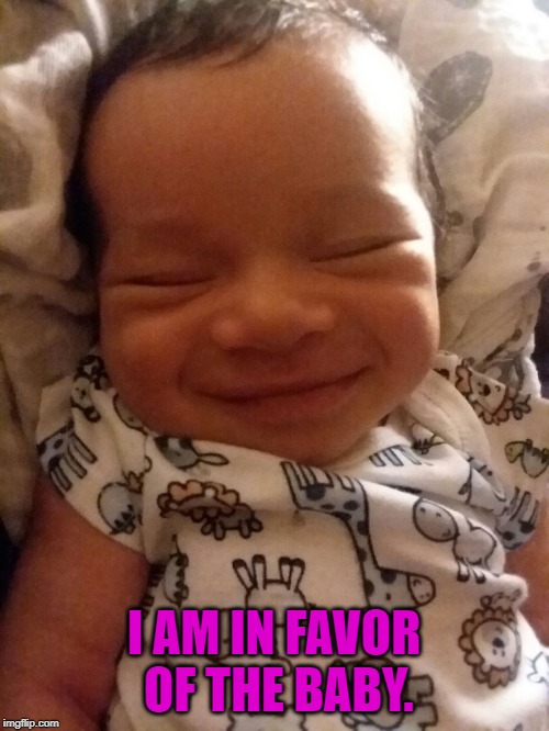 Smiling baby | I AM IN FAVOR OF THE BABY. | image tagged in smiling baby | made w/ Imgflip meme maker