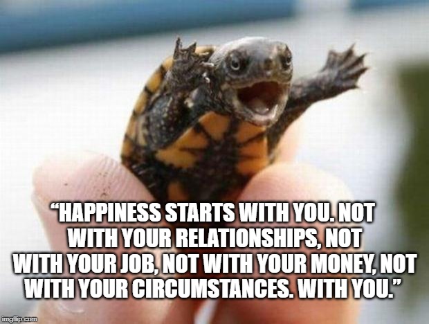 happy baby turtle | “HAPPINESS STARTS WITH YOU.
NOT WITH YOUR RELATIONSHIPS,
NOT WITH YOUR JOB,
NOT WITH YOUR MONEY,
NOT WITH YOUR CIRCUMSTANCES.
WITH YOU.” | image tagged in happy baby turtle | made w/ Imgflip meme maker