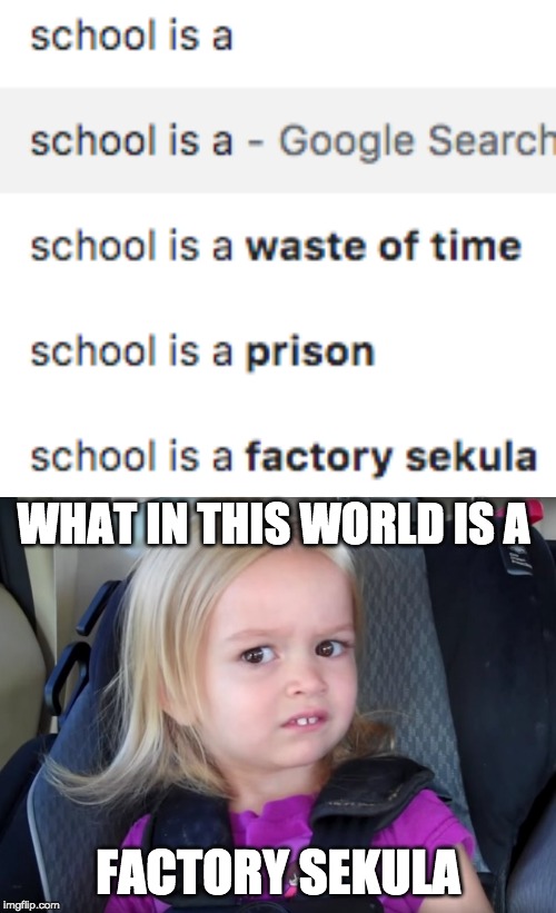 WHAT IN THIS WORLD IS A; FACTORY SEKULA | image tagged in huh | made w/ Imgflip meme maker