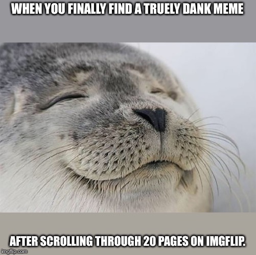Satisfied Seal Meme | WHEN YOU FINALLY FIND A TRUELY DANK MEME; AFTER SCROLLING THROUGH 20 PAGES ON IMGFLIP. | image tagged in memes,satisfied seal | made w/ Imgflip meme maker