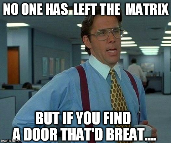 That Would Be Great Meme | NO ONE HAS  LEFT THE  MATRIX BUT IF YOU FIND A DOOR THAT'D BREAT.... | image tagged in memes,that would be great | made w/ Imgflip meme maker