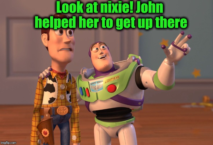 X, X Everywhere Meme | Look at nixie! John helped her to get up there | image tagged in memes,x x everywhere | made w/ Imgflip meme maker