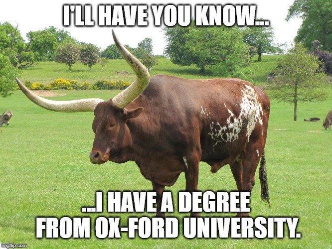 oxymoron | I'LL HAVE YOU KNOW... ...I HAVE A DEGREE FROM OX-FORD UNIVERSITY. | image tagged in oxymoron | made w/ Imgflip meme maker