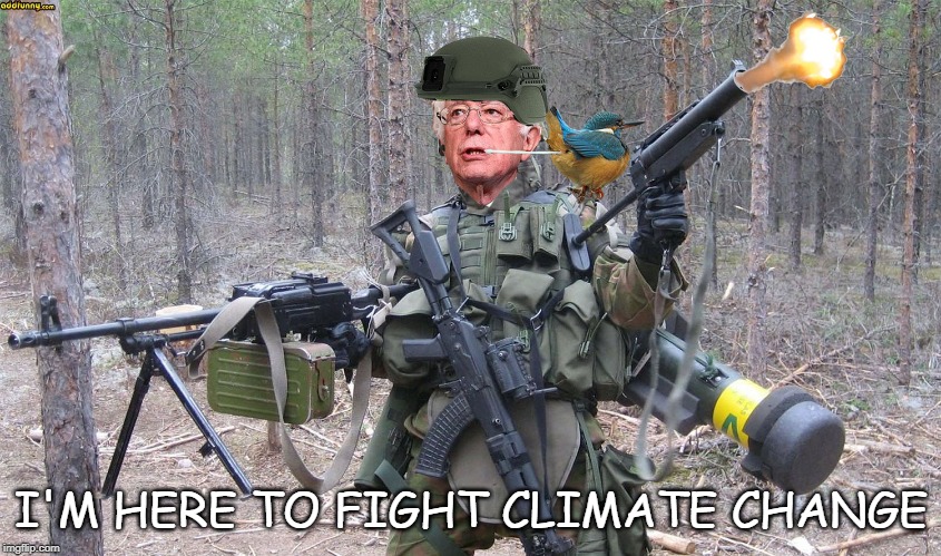 I'M HERE TO FIGHT CLIMATE CHANGE | image tagged in bernie sanders,climate change,fight,bird | made w/ Imgflip meme maker