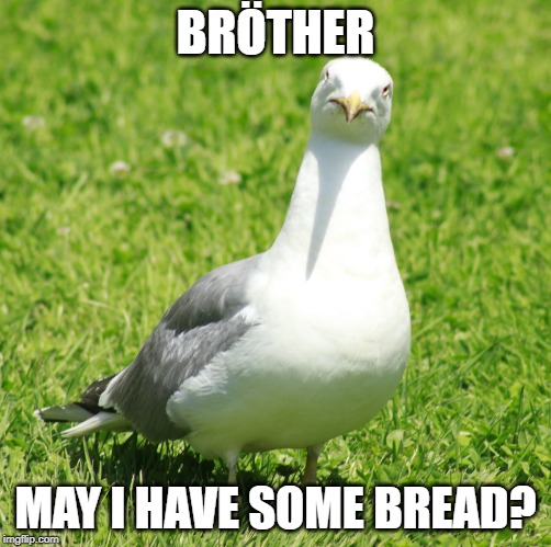 BRÖTHER; MAY I HAVE SOME BREAD? | made w/ Imgflip meme maker